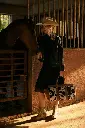 S-12213-_2.webp
