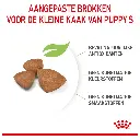 4.webp