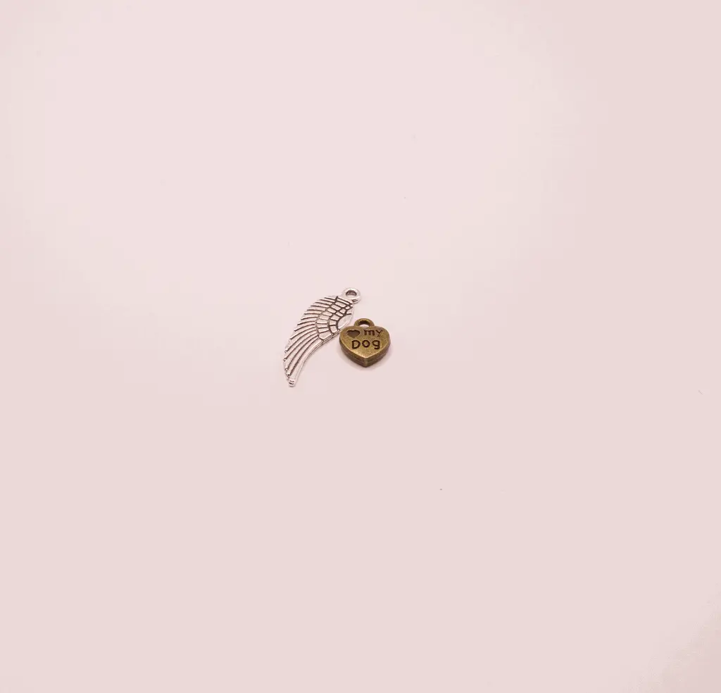 448A9438a.webp
