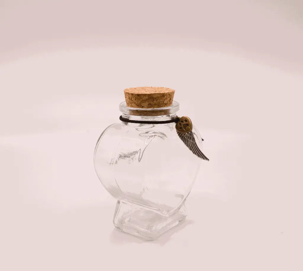 448A9449a.webp
