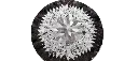 width_550.webp