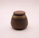Beautiful Multicolor Urn