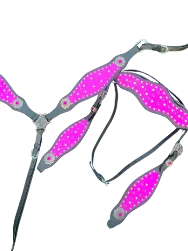 [MV3029] Shiny Pink Western Tack Set