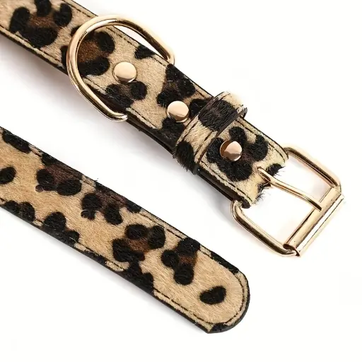 [MV5073] Dog Collar Leopard